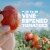 Hunt's® Fire Roasted Diced Tomatoes Perspective: top