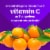 Vitafusion Power C Natural Orange Flavor Gummy Vitamins 150 Count Perspective: top