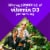 Vitafusion™ Vitamin D3 Natural Peach & Berry Flavored Gummies 2000IU Perspective: top