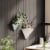 Umbra 470753-670 Trigg Hanging Planter Vase & Geometric Wall Decor Container, Small - White & Perspective: top