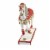 Trail Of Painted Ponies Holiday Tapestry Polyresin Horse Christmas 6009480Le Perspective: top