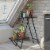 Wallflower Plant Stand, Black Perspective: top