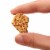Kellogg's® Cinnamon Graham Snacks Perspective: top