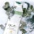 Olay Fresh Outlast Bodywash with Spirulina & Eucalyptus Water Perspective: top