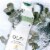 Olay Fresh Outlast Bodywash with Spirulina & Eucalyptus Water Perspective: top