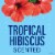 Secret for Women Antiperspirant Deodorant Clear Gel Tropical Hibiscus Scent Perspective: top