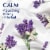 Downy Infusions Lavender and Vanilla Bean Calm Mega Dryer Sheets Perspective: top