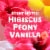 Gain Super Flings Happy Hibiscus Hula Laundry Detergent Pods Perspective: top