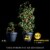 Miracle-Gro® Performance Organics™ All-Purpose Container Potting Mix Perspective: top