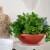 Akro-Mils Garden Bowl - Clay Perspective: top