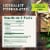 Traditional Medicinals Organic Smooth Move Tea Perspective: top