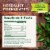 Traditional Medicinals Organic Throat Coat Tea Perspective: top