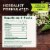 Traditional Medicinals Organic Herbal Cold Care Tea Perspective: top