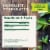 Traditional Medicinals Organic Peppermint Tea Perspective: top