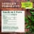Traditional Medicinals Organic Throat Coat Lemon Echinacea Tea Perspective: top