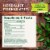 Traditional Medicinals Organic Throat Coat Lemon Echinacea Tea Perspective: top