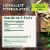 Traditional Medicinals Organic Smooth Move Peppermint Tea Perspective: top