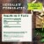 Traditional Medicinals Organic Smooth Move Peppermint Tea Perspective: top