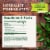 Traditional Medicinals Organic Throat Coat Eucalyptus Tea Perspective: top