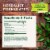 Traditional Medicinals Organic Throat Coat Eucalyptus Tea Perspective: top