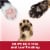 ARM & HAMMER Clump & Seal Ultra Odor Blasters Multi-Cat Clumping Cat Litter Perspective: top