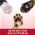 ARM & HAMMER Clump & Seal Ultra Odor Blasters Multi-Cat Clumping Cat Litter Perspective: top