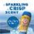 ARM & HAMMER Clean Scentsations Purifying Waters In-Wash Scent Booster Perspective: top
