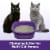 ARM & HAMMER Slide Easy Clean-Up Multi-Cat Clumping Cat Litter Perspective: top