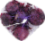 Red Onions Perspective: top