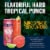 Corona Refresca Hard Tropical Punch Flavored Malt Beverage 12 Cans Variety Pack Perspective: top