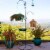 Yard Butler Santas Helper Tree Stand Perspective: top