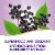 Nature’s Way Sambucus Immune Elderberry With Zinc Vitamins C D3 Gummies Perspective: top