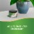 Nature's Way Beet Root Powder Perspective: top