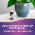 Nature's Way Sambucus Immune Elderberry Vitamin C Zinc Echinacea Propolis Immune Support Syrup Shot Perspective: top