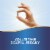 Nature's Way Scullcap Herb Traditional Sleep Support Capsules 850 mg Per 2 Capsule Serving Perspective: top