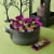 KIT KAT® Witch's Brew Marshmallow Creme Wafer Snack Size Halloween Candy Bag Perspective: top