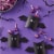 Hershey's Kisses Milk Chocolate Filled with Strawberry Creme Vampire Halloween Candy Perspective: top