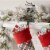 ICE BREAKERS ICE CUBES Candy Cane Flavored Sugar Free Chewing Gum Christmas Candy Bottle Perspective: top