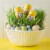 Ice Breakers Ice Cubes Strawberry Lemonade Sugar Free Gum Easter Candy Perspective: top