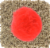 Classy Kitty Cat Toy on Spring Round Base Perspective: top