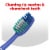 Colgate Plus Medium Toothbrush Perspective: top