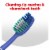 Colgate Plus Clean & Fresh Toothbrush Medium Perspective: top