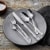 ZWILLING Provence 20-Piece 18/10 Stainless Steel Flatware Set, Silver Perspective: top