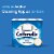Cottonelle CleanCare Toilet Paper Perspective: top