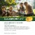 Ricola Dual Action Honey Lemon Cough Suppressant Drops Perspective: top