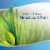 Febreze Air Effects Meadows & Rain Air Refresher Perspective: top