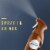 Febreze Wood Odor-Eliminating Air Freshener Perspective: top