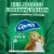 Charmin Ultra Gentle Mega Rolls Toilet Paper Tissue Perspective: top
