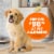 Swiffer Duster Multi-Surface Pet Heavy Duty Refills with Febreze Odor Defense Perspective: top