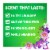 Gain + Aroma Boost Moonlight Breeze Liquid Laundry Detergent Perspective: top
